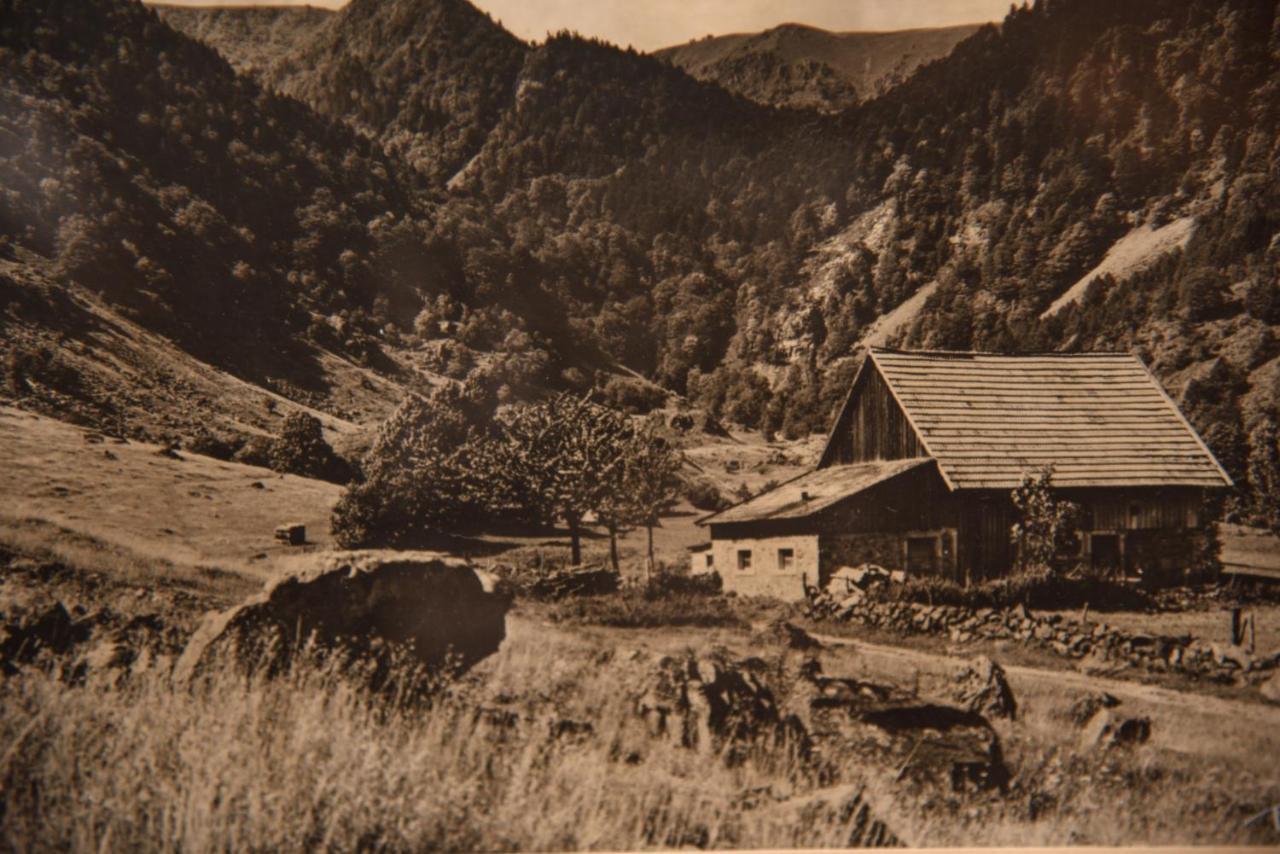 Hotel Deybach Munster  Kültér fotó